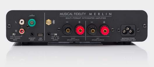 Merlin Amplifier Rear Panel
